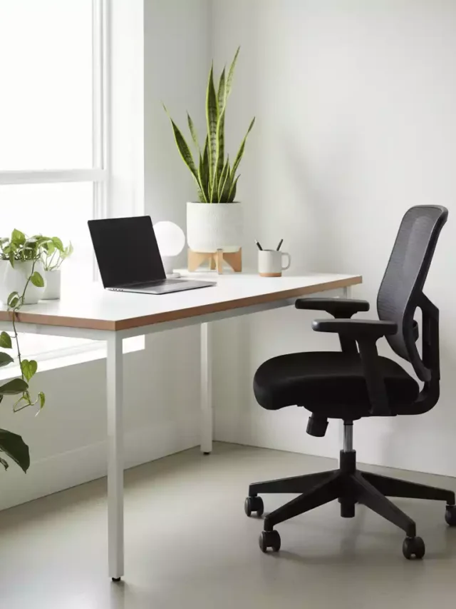 7 Tipos de Escritório: Descubra o Modelo Ideal Para Você